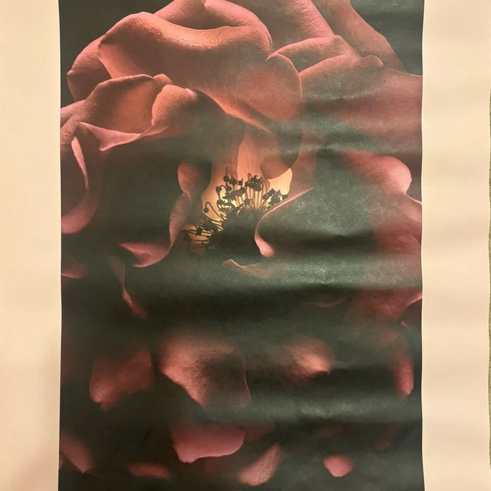 Tom Ford Pink and Black Floral Wall Art 15 inches wide by 23 inches long